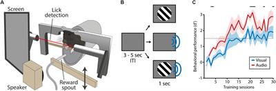 Audiovisual Integration Enhances Stimulus Detection Performance in Mice